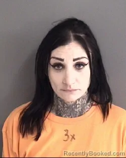 Mugshot of Brandy Lee Zinn booked in Story County, Iowa on October 27, 2026