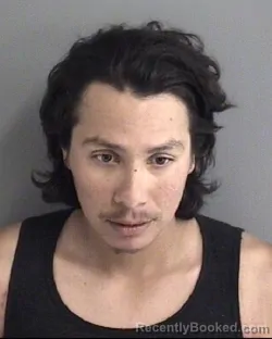 Mugshot of DONOVAN RAY GALVAN booked in Story County, Iowa on July 11, 2026