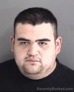 Mugshot of DAVID HECTOR HERNANDEZ