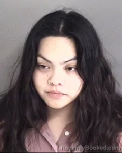 Mugshot of GIA NALEE HERNANDEZ booked in Story County, Iowa on May 29, 2026