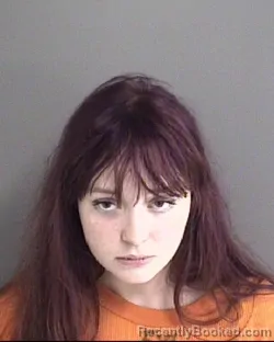 Mugshot of Gillian Claire Lunde booked in Story County, Iowa on September 18, 2026