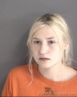 Mugshot of HANNAH MARIE COLWILL booked in Story County, Iowa on July 26, 2026