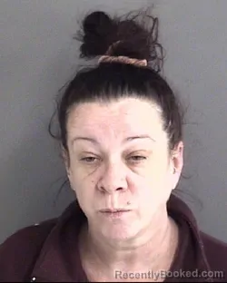 Mugshot of HEIDI ELIZABETH STREEPY booked in Story County, Iowa on March 27, 2026