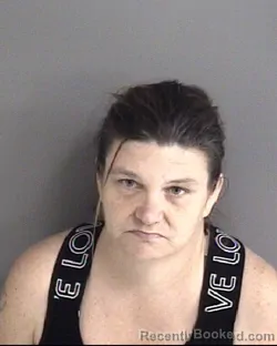 Mugshot of HEIDI MARIE SCHERMERHORN booked in Story County, Iowa on July 8, 2026