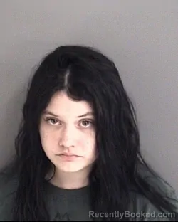 Mugshot of KATHRYN BERNEIL WHITVER booked in Story County, Iowa on June 5, 2026