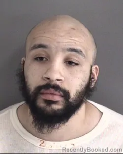 Mugshot of MICHAEL JAMES ANDREWS