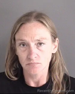 Mugshot of MELISSA ANNE HOLVECK booked in Story County, Iowa on July 24, 2026