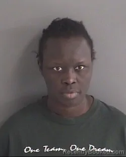 Mugshot of REGIENA RAMADAN YOUNIS booked in Story County, Iowa on March 27, 2026