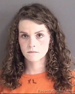 Mugshot of SHANNON ELISABETH BRACE booked in Story County, Iowa on June 4, 2026