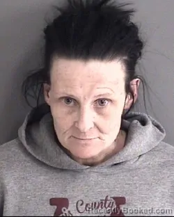 Mugshot of SHAWNNA LYNN FOWLER booked in Story County, Iowa on March 16, 2026