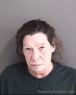 Mugshot of SUSAN JOAN GABRIELE booked in Story County, Iowa on June 24, 2026