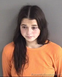 Mugshot of Sara E Hosking booked in Story County, Iowa on August 29, 2026