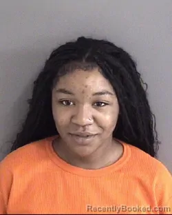 Mugshot of SERENA NAJAY MARTIN booked in Story County, Iowa on April 24, 2026