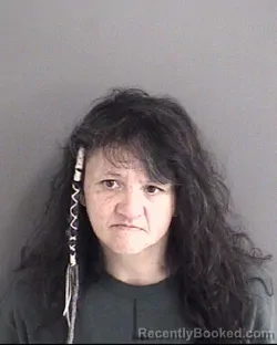 Mugshot of Susan Marie Vang booked in Story County, Iowa on August 26, 2026