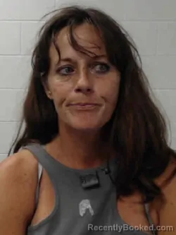 Mugshot of Tasha Danielle Morris booked in Van Buren County, Iowa on August 25, 2026