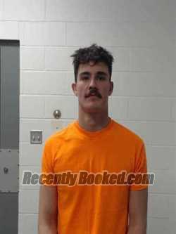 Booking photo from Van Buren County, Iowa