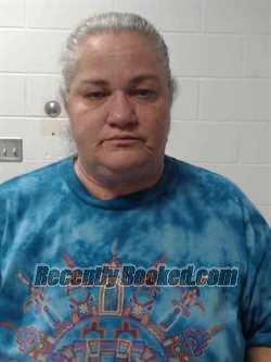 Booking photo from Van Buren County, Iowa