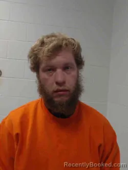 Mugshot of AARON LUCAS WILLIAMS