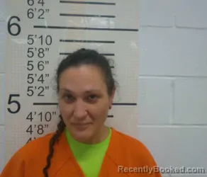 Mugshot of HOLLI ANN MILOSEVIC