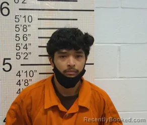 Mugshot of NESTOR ALESSANDRO VASQUEZ GOMEZ