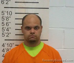 Mugshot of BRADLY ALLEN BODEN