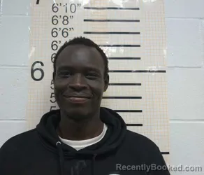 Mugshot of LIM BOL CHUOL booked in Warren County, Iowa on March 17, 2026