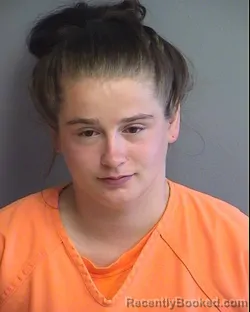 Mugshot of CHELSEA RAY LISK booked in Warren County, Iowa on March 4, 2026