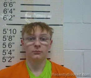 Mugshot of COLE CHRISTOPHER WULF