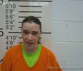 Mugshot of MELLISA DAWN STORTO