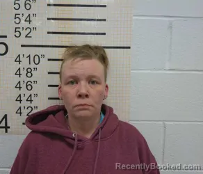 Mugshot of SYDNEY MARIE PRICE booked in Warren County, Iowa on March 4, 2026