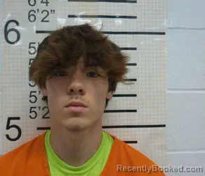 Mugshot of BRENDEN MICHEAL WHEELER