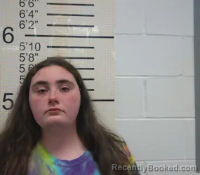 Mugshot of BREANA DIANE PHILLIPS