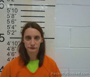 Booking photo from Warren County, Iowa