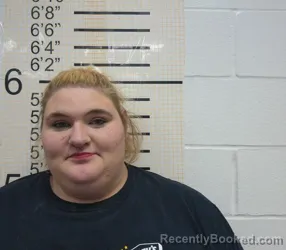 Mugshot of DANICKA SHAWN FOWLER