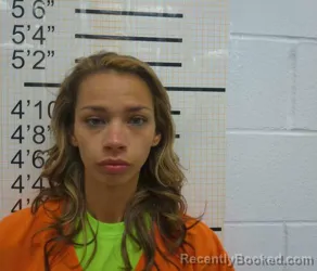 Mugshot of AMBER DAWN GUNDERSEN