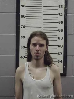 Mugshot of QUIN DAVIS JAMES ARNOLD booked in Wayne County, Iowa on April 4, 2026