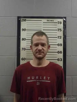 Mugshot of JOEL DEAN MCCREE