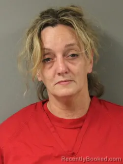 Mugshot of SARAH JANE BRANDRUP booked in Webster County, Iowa on June 23, 2026