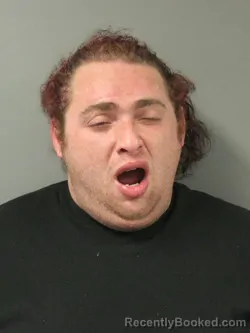 Mugshot of ROBERT WILLIAM EUGENE KRAMER booked in Webster County, Iowa on March 19, 2026