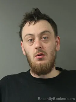 Mugshot of BRAZIN GUGGISBERG