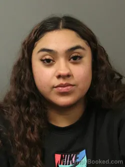 Mugshot of ALEJANDRA LORENA ANGELES