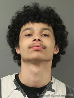 Mugshot of CAMERON BRYANT DAVIS booked in Webster County, Iowa on March 25, 2026