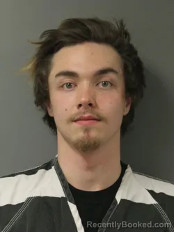 Mugshot of BRANDON LASHAWN DREESMAN