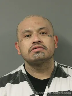 Mugshot of JULIO CESAR ALEMAN