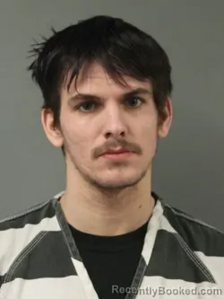 Mugshot of BRYAN ALLEN SWANSON