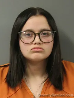 Mugshot of RYLEE JEANNE BRUNDAGE