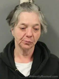 Mugshot of AMANDA MAE BASS booked in Webster County, Iowa on March 24, 2026