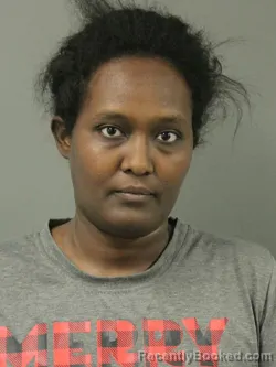 Mugshot of BEREKET TALKAYA GENUTE BURNS booked in Webster County, Iowa on April 22, 2026