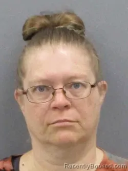 Mugshot of Lisa Marie Sailor booked in Winnebago County, Iowa on August 18, 2026