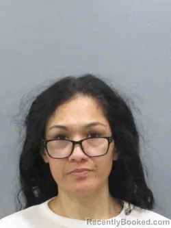 Mugshot of VAITULIA LANIA ANN LAUIFI booked in Winnebago County, Iowa on April 3, 2026